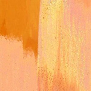 Meet your Posher, Jill linds